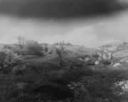 img0341.jpg