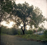 img0465.jpg