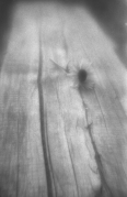 img115-2.png