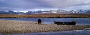 img360SF1G3Size.jpg img360SF1G3Size.jpg