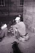 img3811.jpg