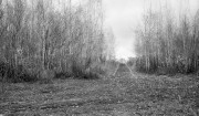 img8334.jpg