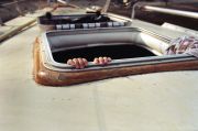 june00103.jpg