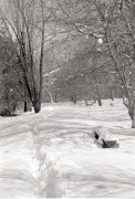 pic1.jpg