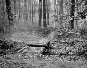 scan0001_s.jpg