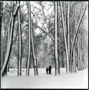 w1.jpg