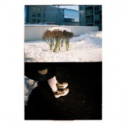 000008_24.jpg 000008_24.jpg