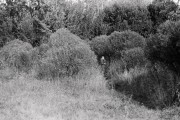 000022_09138.jpg 000022_09138.jpg