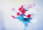 000037_04459_1.jpg 000037_04459_1.jpg