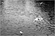 000038_44545_net.jpg 000038_44545_net.jpg