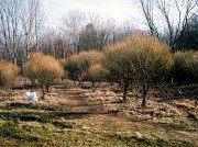 000045_07040_1.jpg 000045_07040_1.jpg