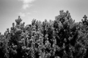 000060_07197_net.jpg 000060_07197_net.jpg