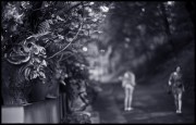 0_bcd24_5b711f8f_orig.jpg