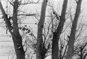 11_I_20_foma-200_perceptol_1_3_mp_90_11_.jpg 11_I_20_foma-200_perceptol_1_3_mp_90_11_.jpg