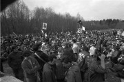 18183.jpg 18183.jpg
