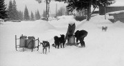 20130118_HP51600_FED026.jpg