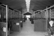 20170515-M6_Delta100_Ilfosol730_E_19032017_1_028.jpg
