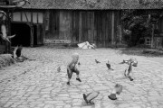 20180525-M7_Summarit50_GelbFilt_A125_ID11_VS_N_2018-05-25-0004.jpg 20180525-M7_Summarit50_GelbFilt_A125_ID11_VS_N_2018-05-25-0004.jpg