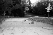 20181015-M7_A125N_Rodinal_1_25_8_min_summarit50_28mm_VS_N_2018-10-15-0022.jpg 20181015-M7_A125N_Rodinal_1_25_8_min_summarit50_28mm_VS_N_2018-10-15-0022.jpg