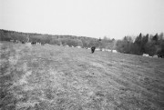 21850.jpg 21850.jpg