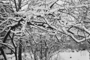 23_000251.jpg 23_000251.jpg