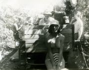 26895.jpg