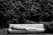 31070.jpg 31070.jpg