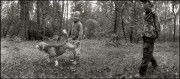 3755.jpg