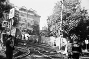 37620010.jpg