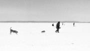 41900-S1-0008.jpg