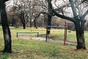 8196.JPG