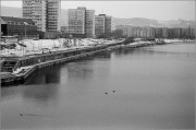 8200.jpg