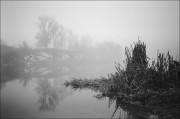 91330018_9501.jpg 91330018_9501.jpg