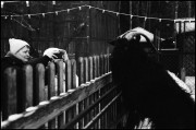 Apr_2025_Nikon_S2_Nikkor_50_mm_PAN_400_19.jpg