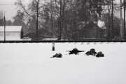 Boys_in_snow_near_railway.JPG