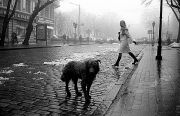 Deribasovskaya_dog.jpg