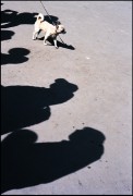 Ektar_Japan_003.jpg