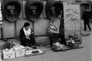 FLM201312009.jpg