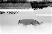 Feb_2023_Kiev_2_50_mm_FOMA400_152.jpg