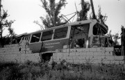 IMG005012.jpg