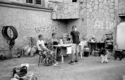 IMG005019.jpg IMG005019.jpg