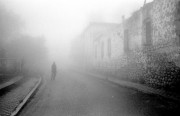 IMG009183.jpg