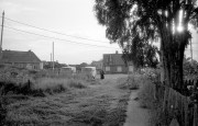 IMG010134.jpg