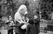IMG010299.jpg