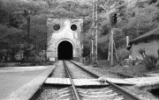 IMG013340.jpg