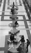IMG03478.jpg
