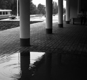 IMG27_bw.jpg