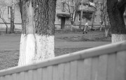 IMG3523-0m.jpg