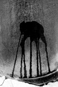 IMG_0865.jpeg