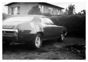 IMG_3555e2.JPG